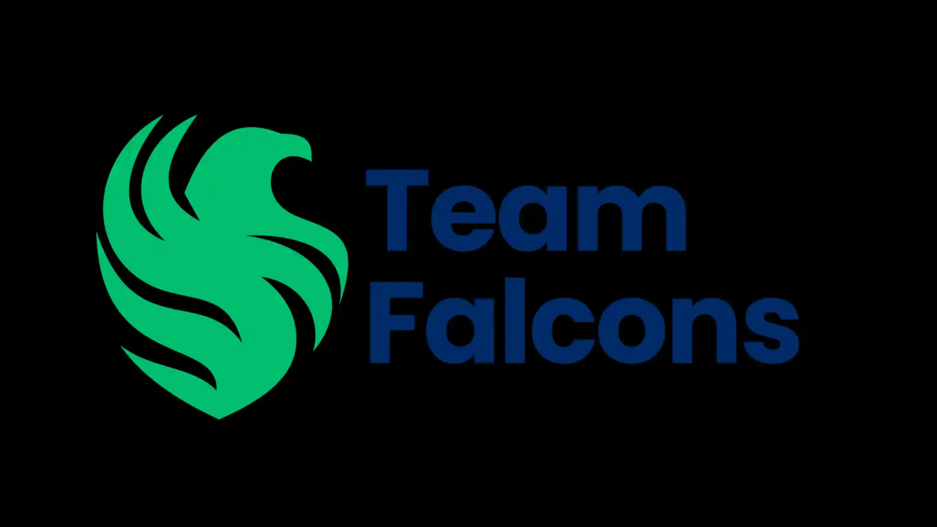 Team Falcons